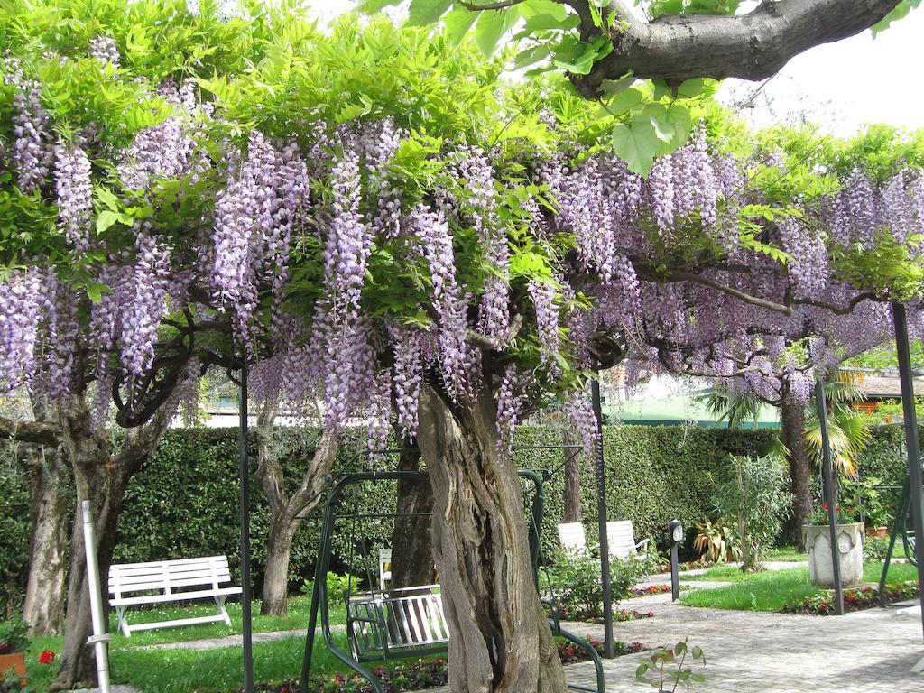 سيرمِيوني Hotel Giardino المظهر الخارجي الصورة